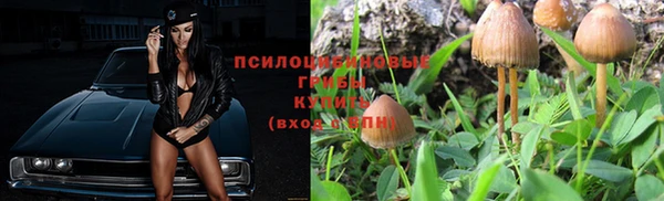 кокс Армянск