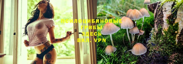 кокс Армянск
