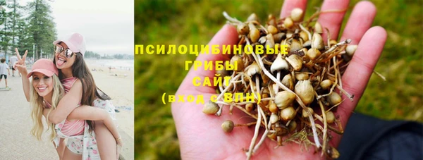 кокс Армянск