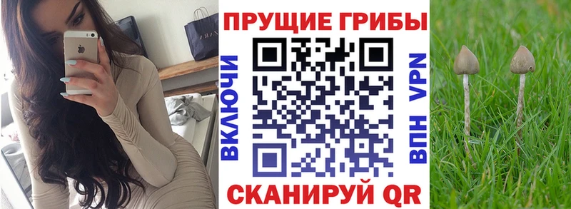ссылка на мегу зеркало  цены   Юрюзань  Галлюциногенные грибы MAGIC MUSHROOMS 