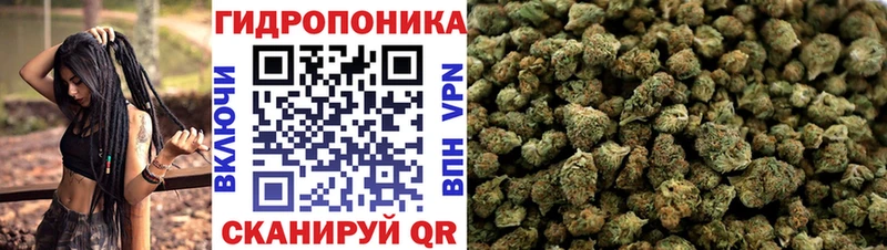 Бошки марихуана LSD WEED  blacksprut   Юрюзань  как найти закладки 